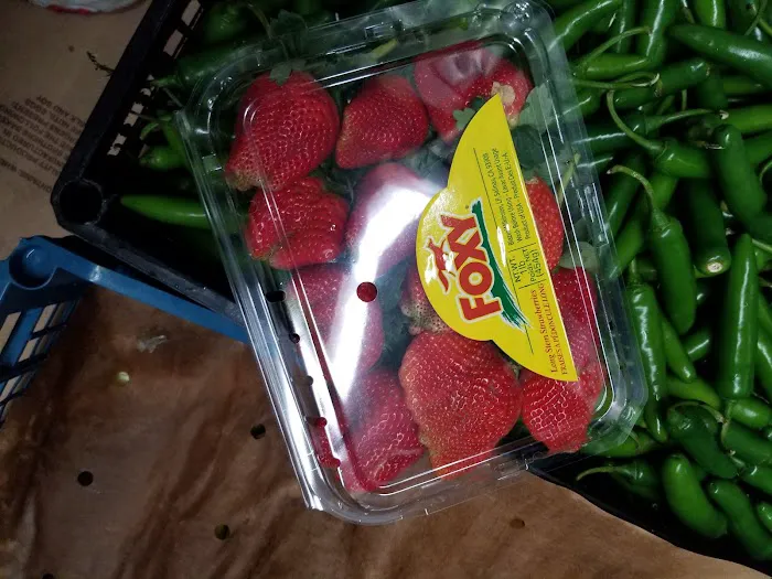 A & C Superette & Salumeria Picture 2