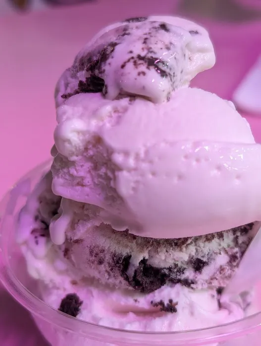 Sugar House Ice Cream Picture 3