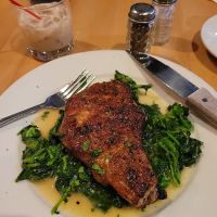 Jody's Club Forest ico