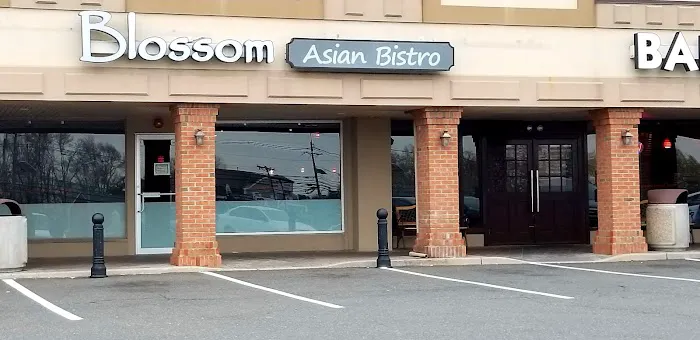 Blossom Asian Bistro Picture 1