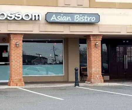 Blossom Asian Bistro