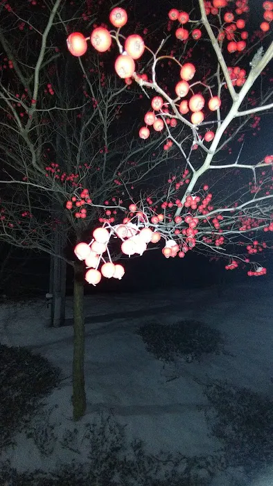 Imperial Dynasty Picture 5