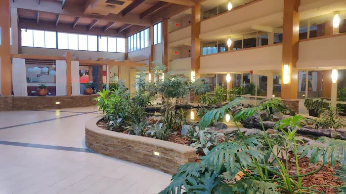 Koi Lounge Picture 5