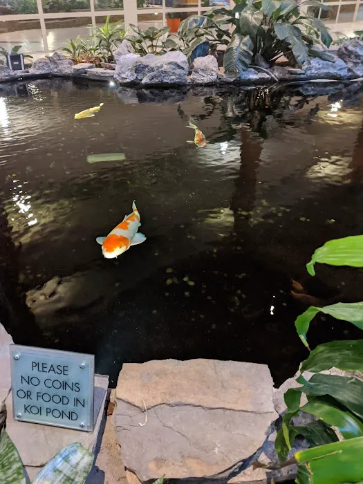 Koi Lounge Picture 7