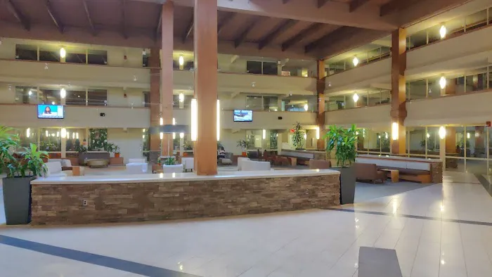 Koi Lounge Picture 3