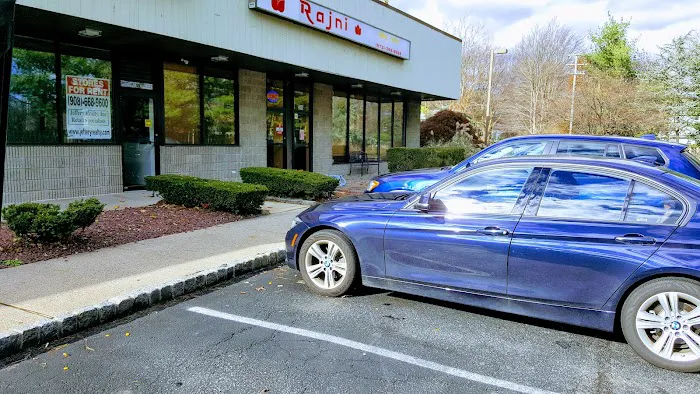 Rajni Indian cuisine Picture 10