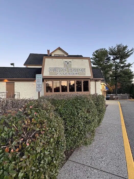 KRIOS Prime Picture 2