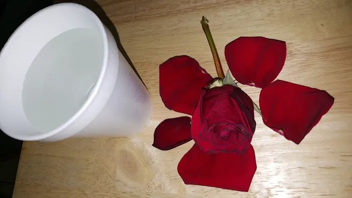 El Campion Picture 1