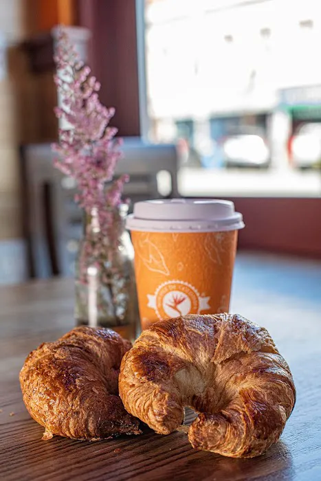 Noches de Colombia Picture 5