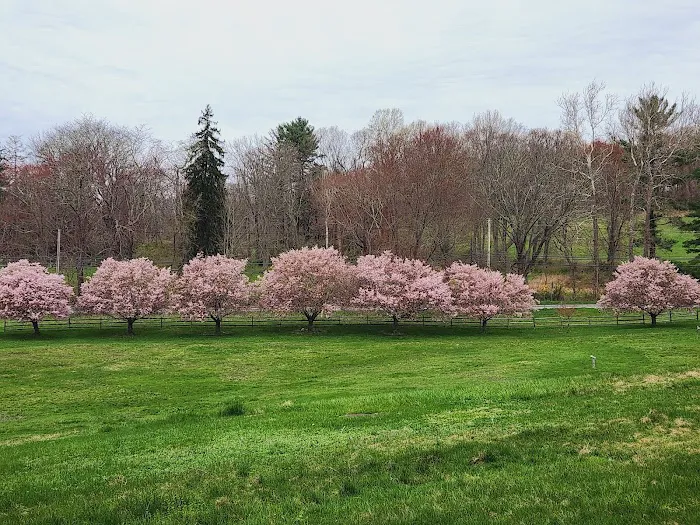 China Pavilion Picture 8