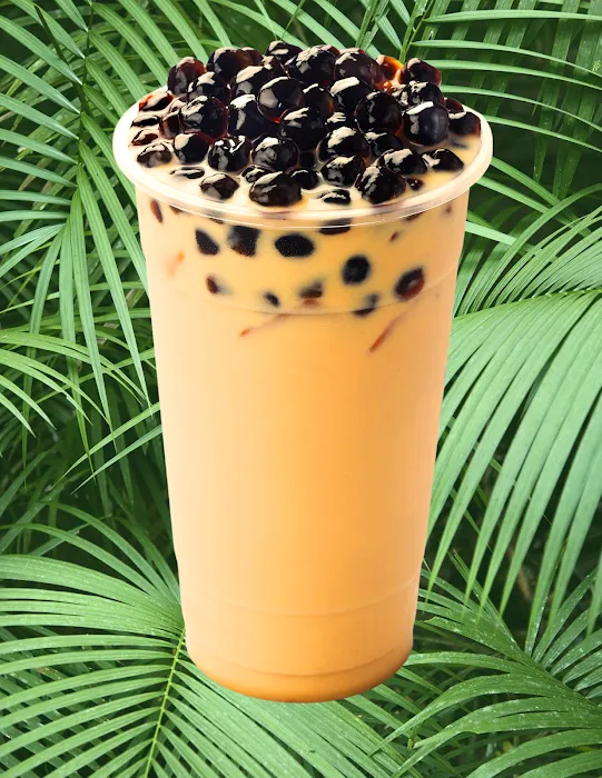 Pokémoto - Norwalk Picture 10