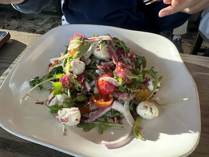 Zucca Gastrobar Picture 2