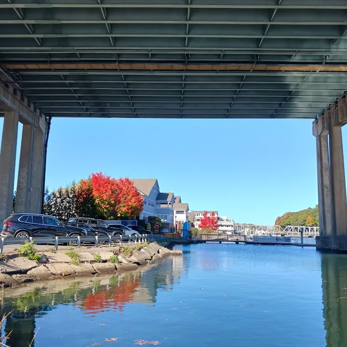 Black Duck Cafe Picture 10