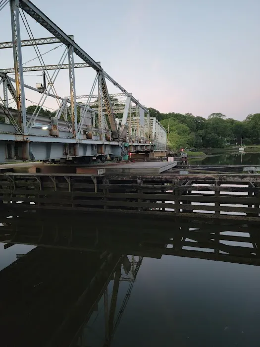 Rainbow Thai Picture 6