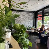 Salted. On The Harbor ico