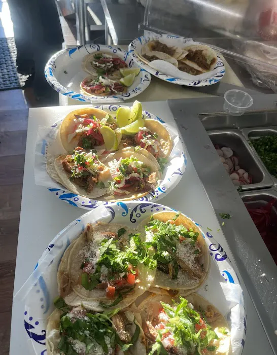 Freddy's Platos Picture 5