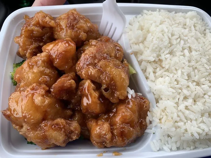 Tiger Bowl Restaurant Picture 4