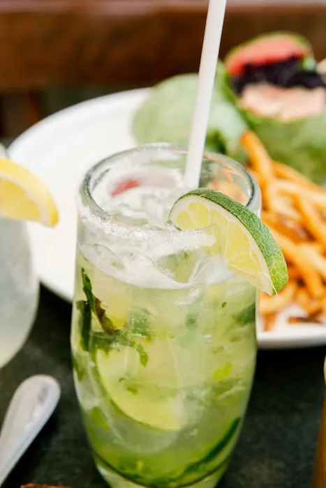 Gray Goose Picture 1