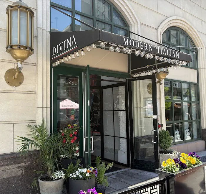 Divina Modern Italian Picture 5