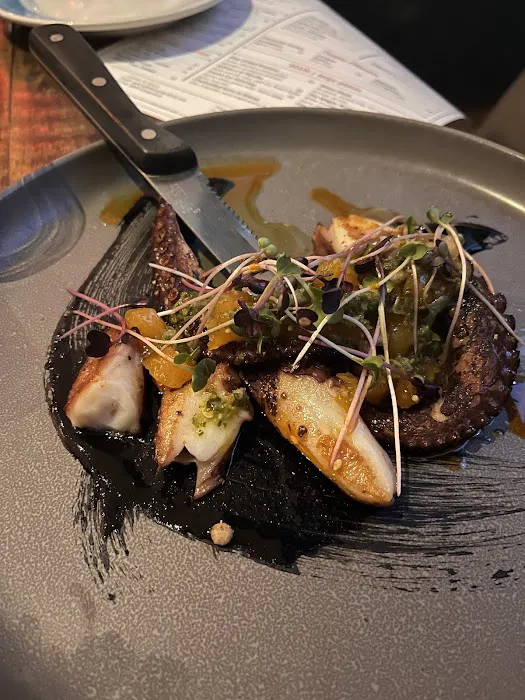 Divina Modern Italian Picture 10