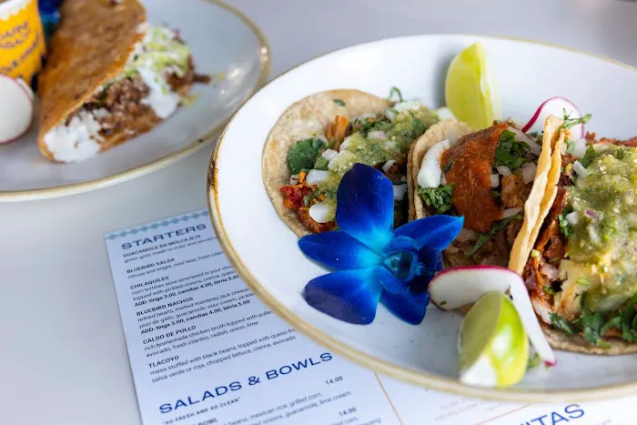 Bluebird Taqueria Picture 7