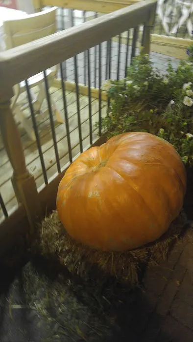 Broadway North Pizzeria Restaurant Picture 1