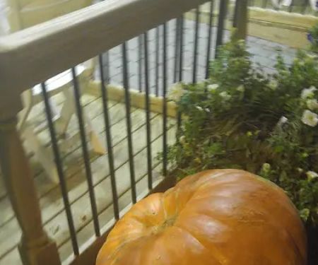 Broadway North Pizzeria Restaurant