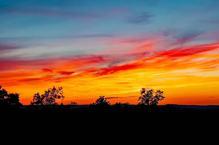 Woods Tavern Bar And Grill Picture 4