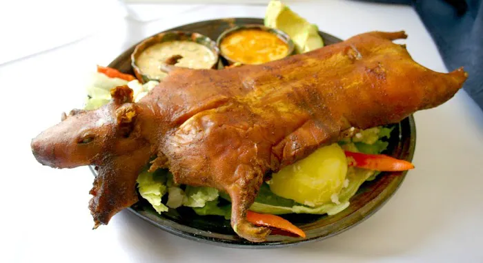 Tierras Tropicales Picture 9