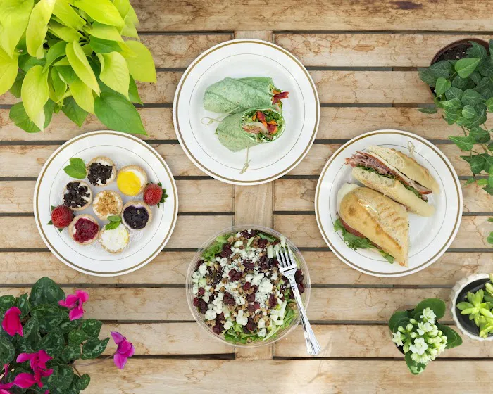 Michael Joseph's Picture 1