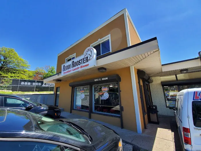 Reddi Rooster Picture 10