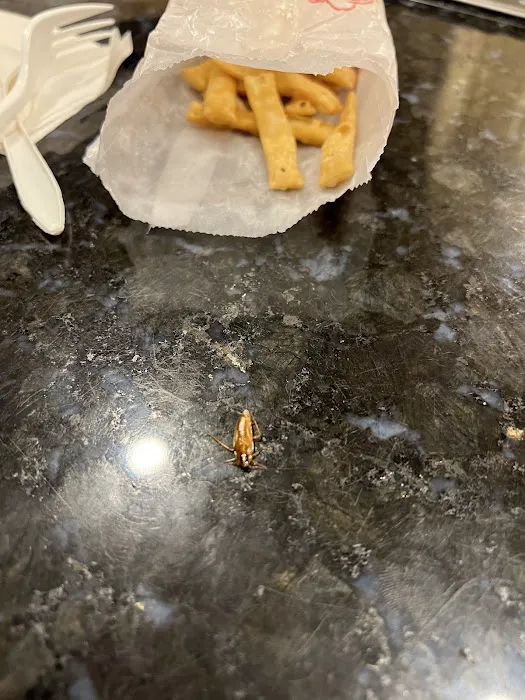 Great Wall Picture 6