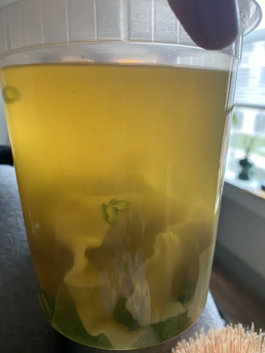 South China Picture 9