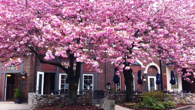 Old Post Tavern Picture 3