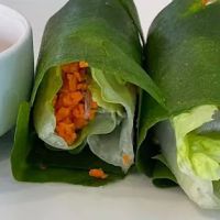 Catch A Healthy Habit Cafe ico