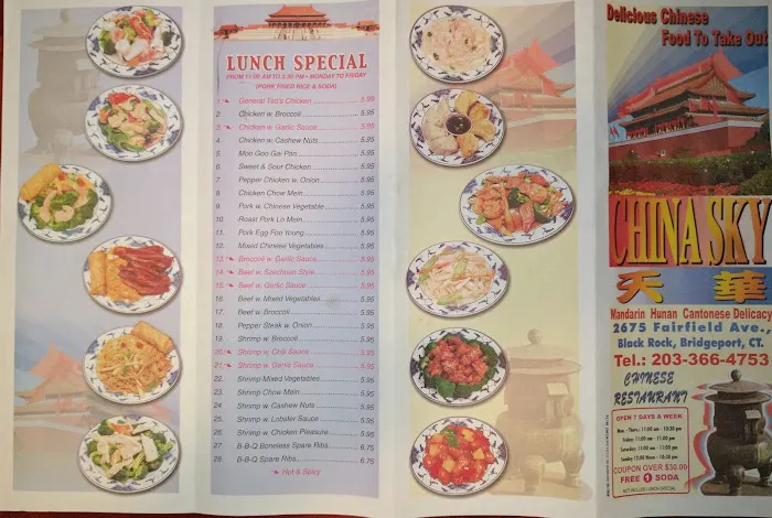 China Sky Chinese Restaurant Picture 2