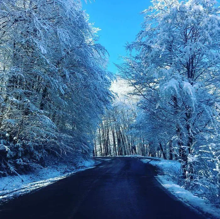 Paramount Pizza Picture 4