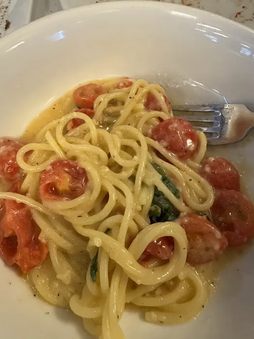 Gallo Ristorante Picture 7