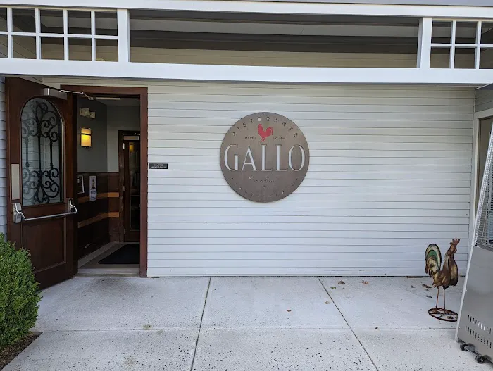 Gallo Ristorante Picture 1