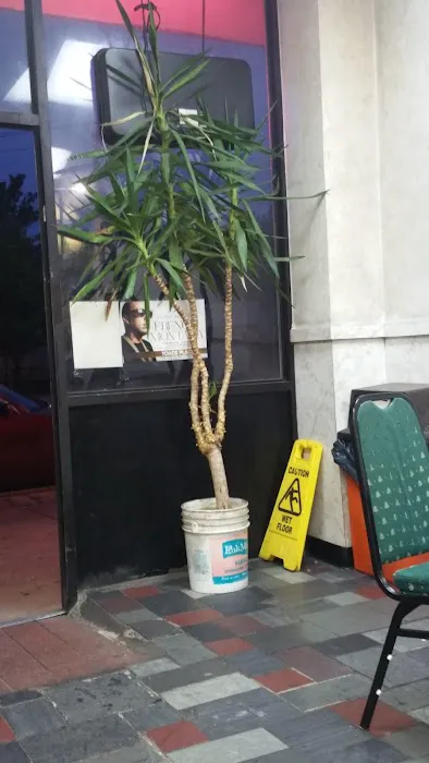 Fortune Cookie Picture 7