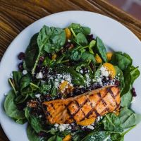 Teddy's Bully Bar ico