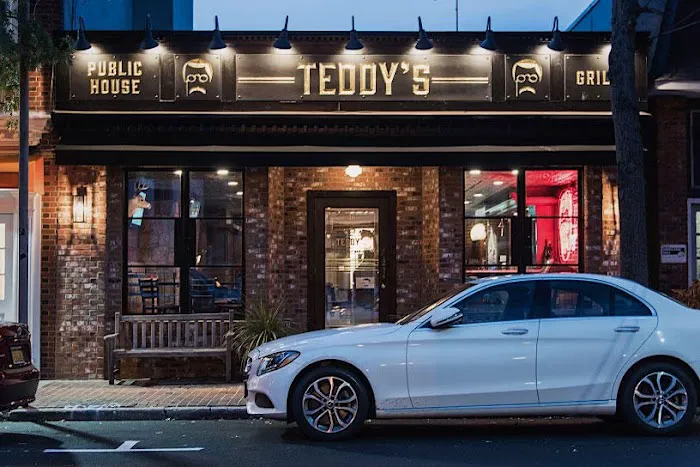 Teddy's Bully Bar Picture 3