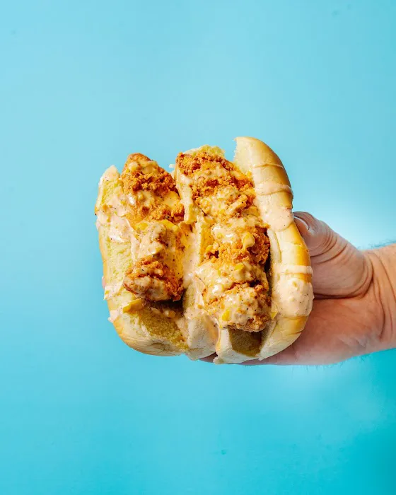 Beach Bird Picture 2