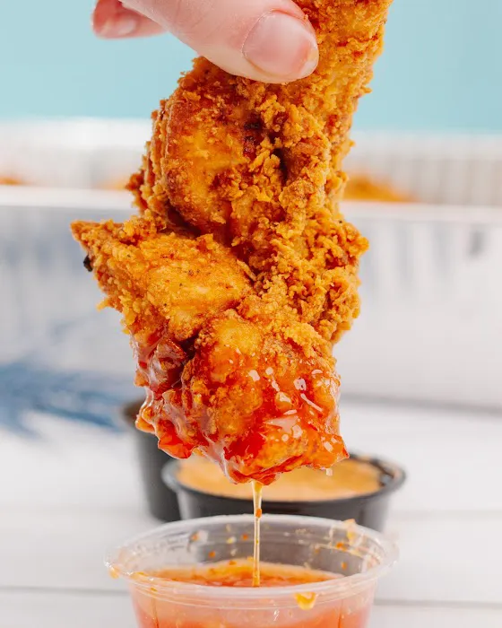 Beach Bird Picture 3