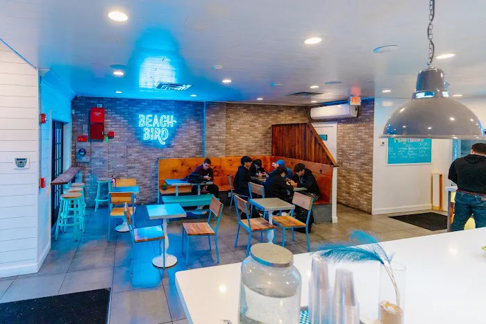 Beach Bird Picture 4