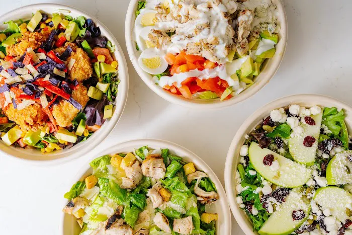 Beach Bird Picture 7