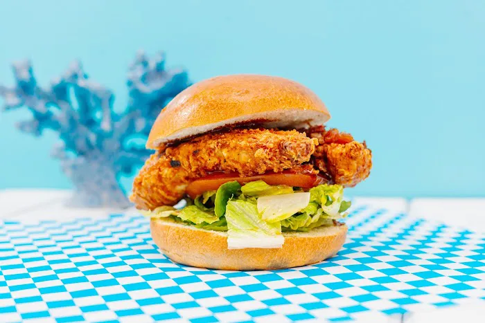 Beach Bird Picture 5