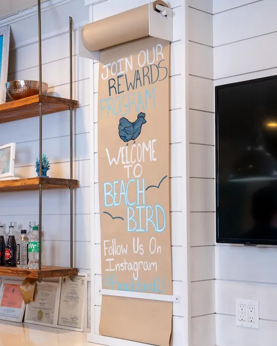 Beach Bird Picture 1