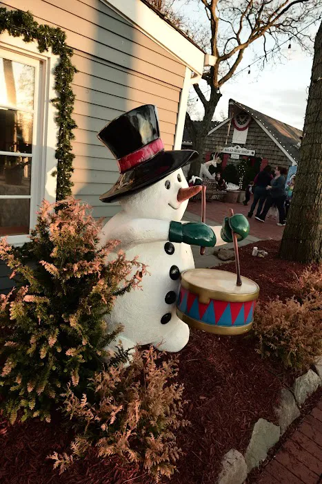 The carlton Picture 3