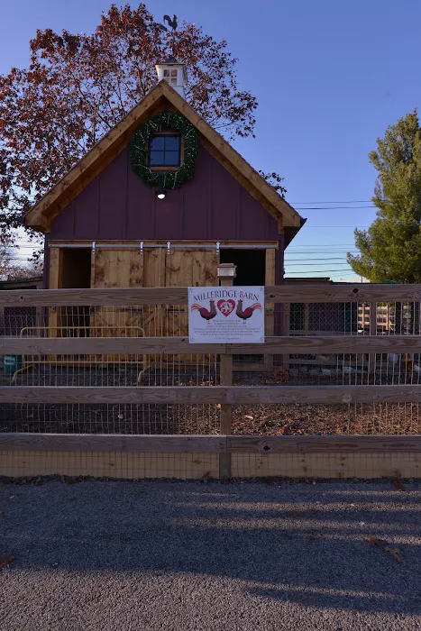 The carlton Picture 5